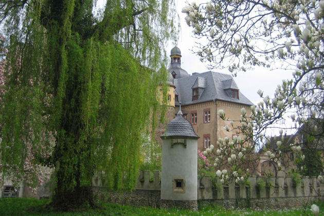 Die Andernacher Musiktage finden auch dieses Jahr auf Burg Namedy statt.