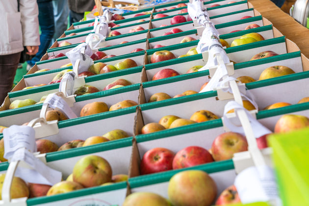 Impressionen vom Apfelmarkt in Bad Feilnbach