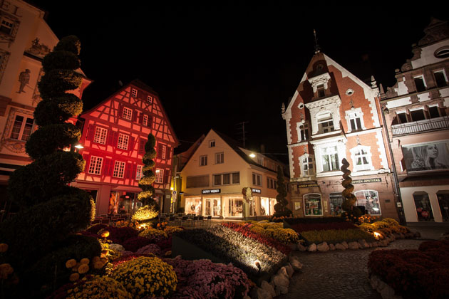 Chrysanthema in Lahr/Schwarzwald bei Nacht