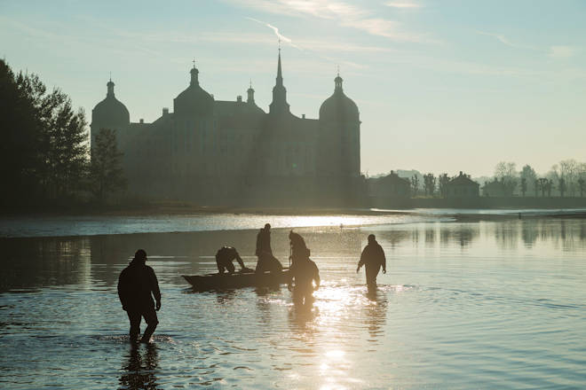 Abfischen zum Fisch- und Waldfest in Moritzburg