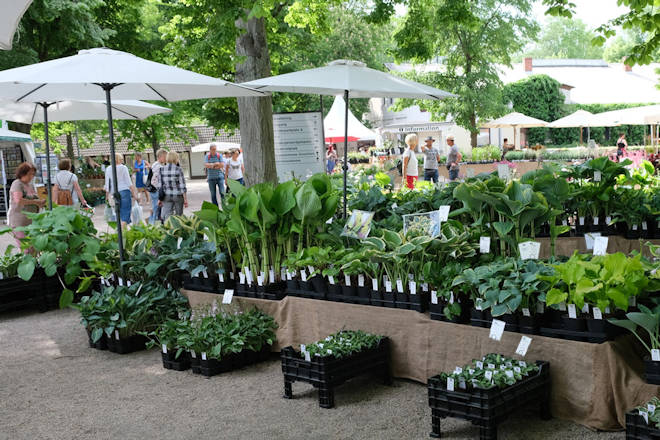 Impressionen von der Gartenträume-Gartenmesse auf der Rennbahn Hoppegarten