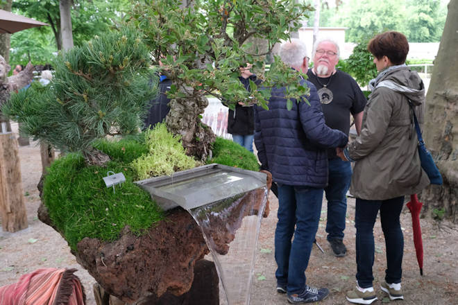 Impressionen von der Gartenträume-Gartenmesse auf der Rennbahn Hoppegarten