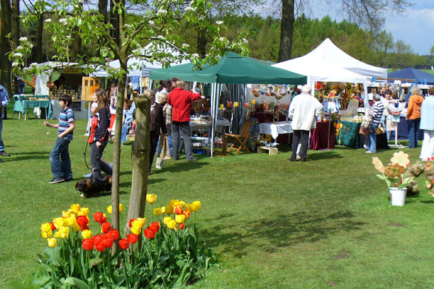 Impressionen vom Ginsengfest in Walsrode-Bockhorn