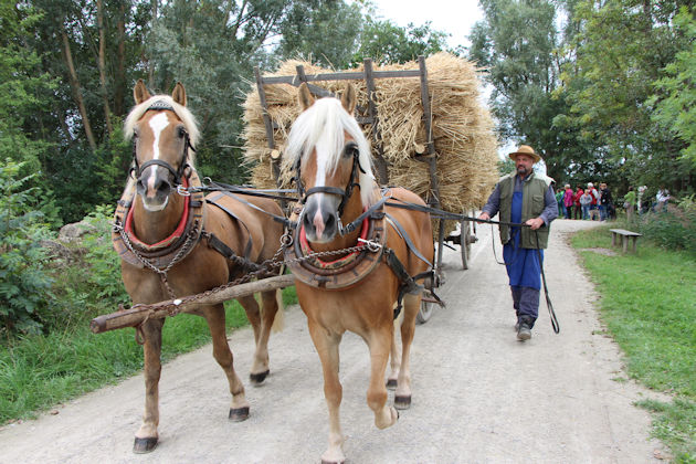 Impressionen vom Herbstfest im Freilandmuseum Bad Windsheim