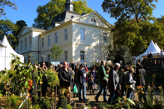 Impressionen vom Herbstfestival auf Schloss Eller in Düsseldorf