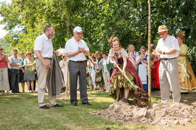 Impressionen vom Kirschbaumpflanzen beim Kirsch- und Ziegelfest in Glindow