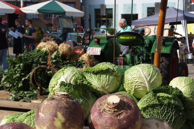 Zum Kohlvergnügen in Meldorf steht der Kohl ein ganzes Wochenende lang im Mittelpunkt.