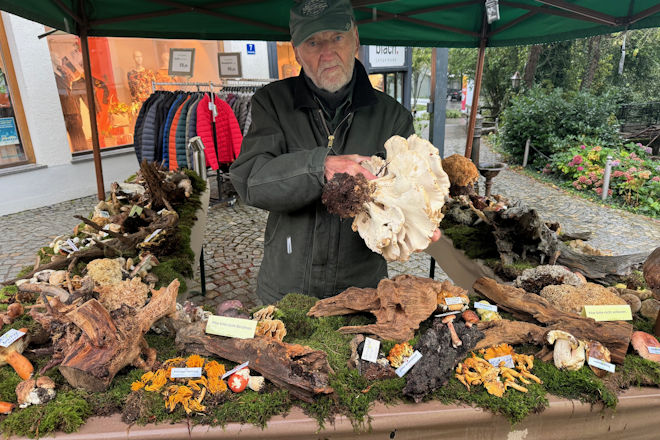 Impressionen vom SeptemBÄRSonntag in Grafenau 