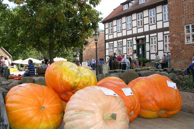 Impressionen vom Kürbisfest in Bad Bodenteich