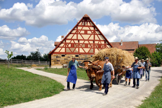 Erntearbeiten mit dem Ochsengespann zeigt das Fränkische Freilandmuseum beim Sommerfest.
