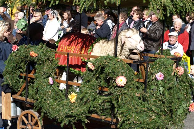 Impressionen vom Onolzheimer Hammeltanz in Crailsheim