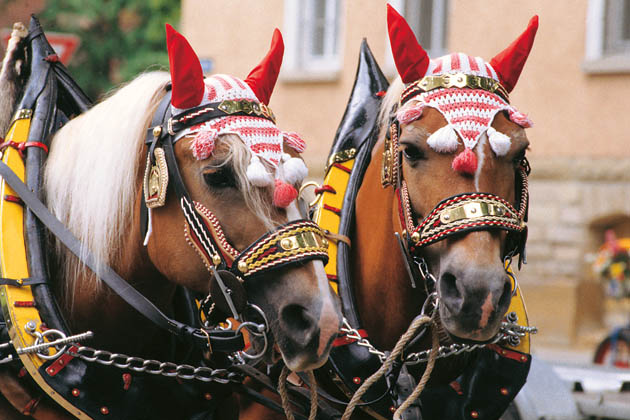 Impressionen vom Pferdemarkt in Ludwigsburg: Kutsche beim Festumzug
