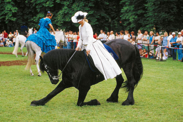 Impressionen vom Pferdemarkt in Ludwigsburg: Pferdeshowprogramm