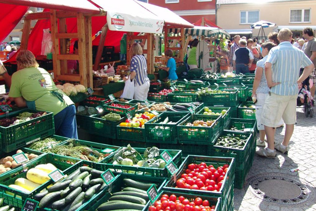 Der Frischemarkt auf dem Spreewälder Gurkentag in Golßen