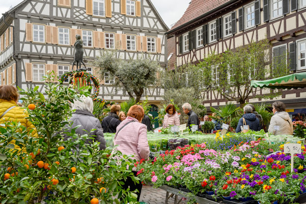 Impressionen vom Wonnetag in Winnenden
