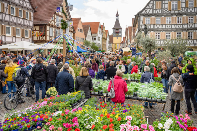 Impressionen vom Wonnetag in Winnenden