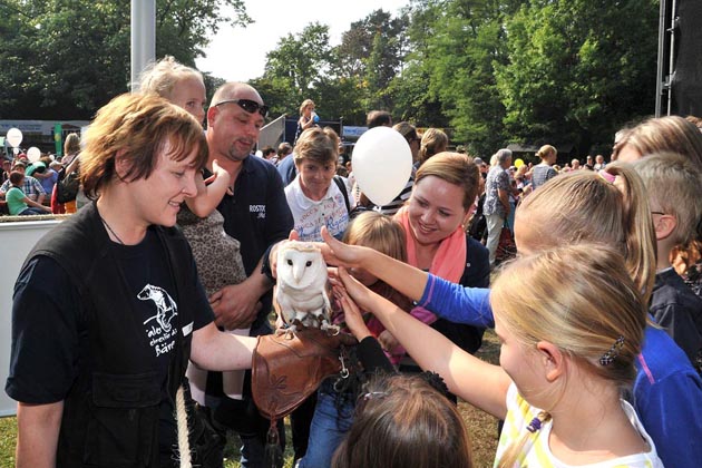 Beim Zoofest in Rostock gibt es auch Tierschauen