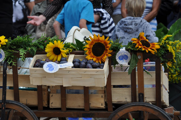 Impressionen vom Zwetschgenfest in Bühl